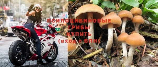 spice Алексеевка