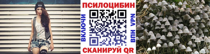 дарнет шоп  Устюжна  Галлюциногенные грибы GOLDEN TEACHER 